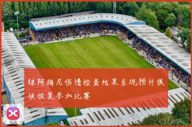 琼阿梅尼伤情检查结果乐观预计很快恢复参加比赛