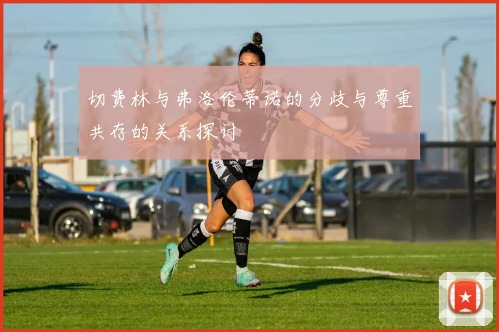 切费林与弗洛伦蒂诺的分歧与尊重共存的关系探讨