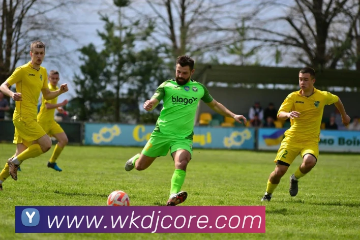 威客电竞平台生态图